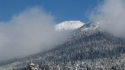 20171203-025-Pinea