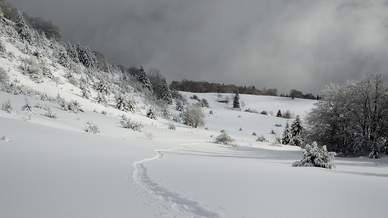 20171209-009-Sornin.jpg -  ... de plus loin mais avec un rayon de soleil