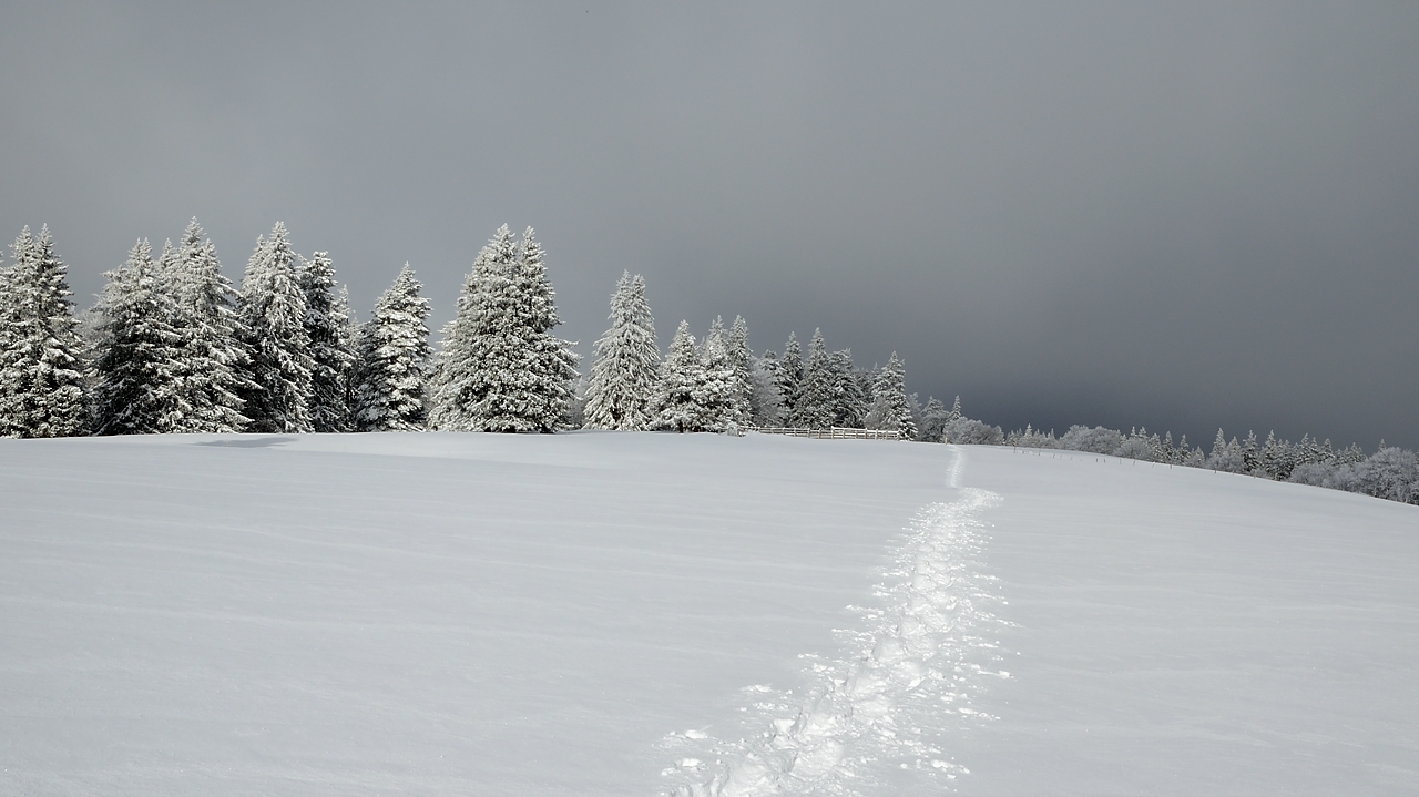 20171209-015-Sornin.jpg - Le soleil sort de plus en plus souvent
