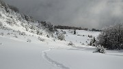 20171209-009-Sornin