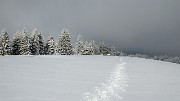 20171209-015-Sornin
