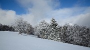 20171209-019-Sornin