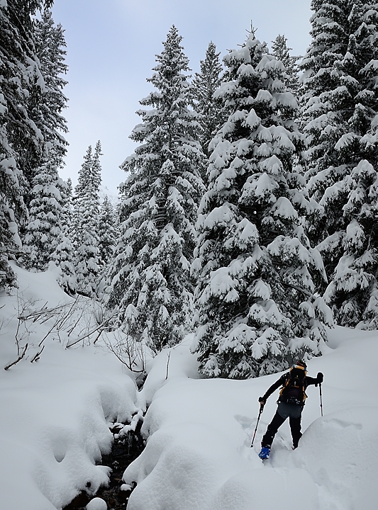 20171217-009-SeptLaux.jpg - Toujours dans la foret avec de plus en plus de neige