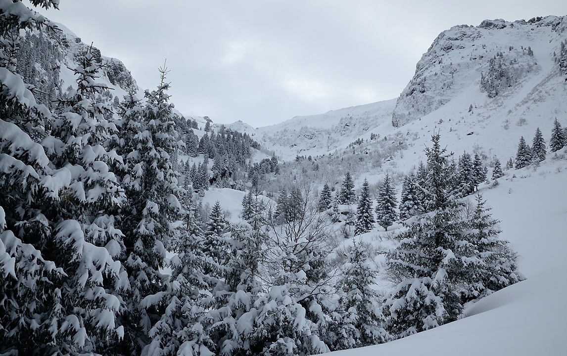 20171217-010-SeptLaux.jpg - A la sortie de la foret : c'est la-bas au fond qu'on va