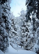 20171217-004-SeptLaux