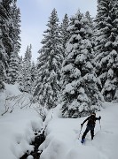 20171217-009-SeptLaux
