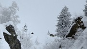 20171217-015-SeptLaux