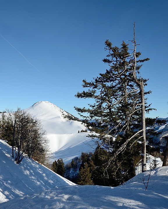 20171224-011-ColPorte.jpg - Charmant Som ...