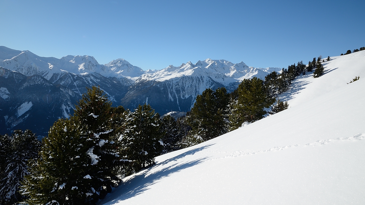 20180113-007-TeteNoire.jpg - On sort de la forêt au niveau des ruines de l'Estiva (bien sous la neige) --- et au fond encore le Massif du Mont Thabor