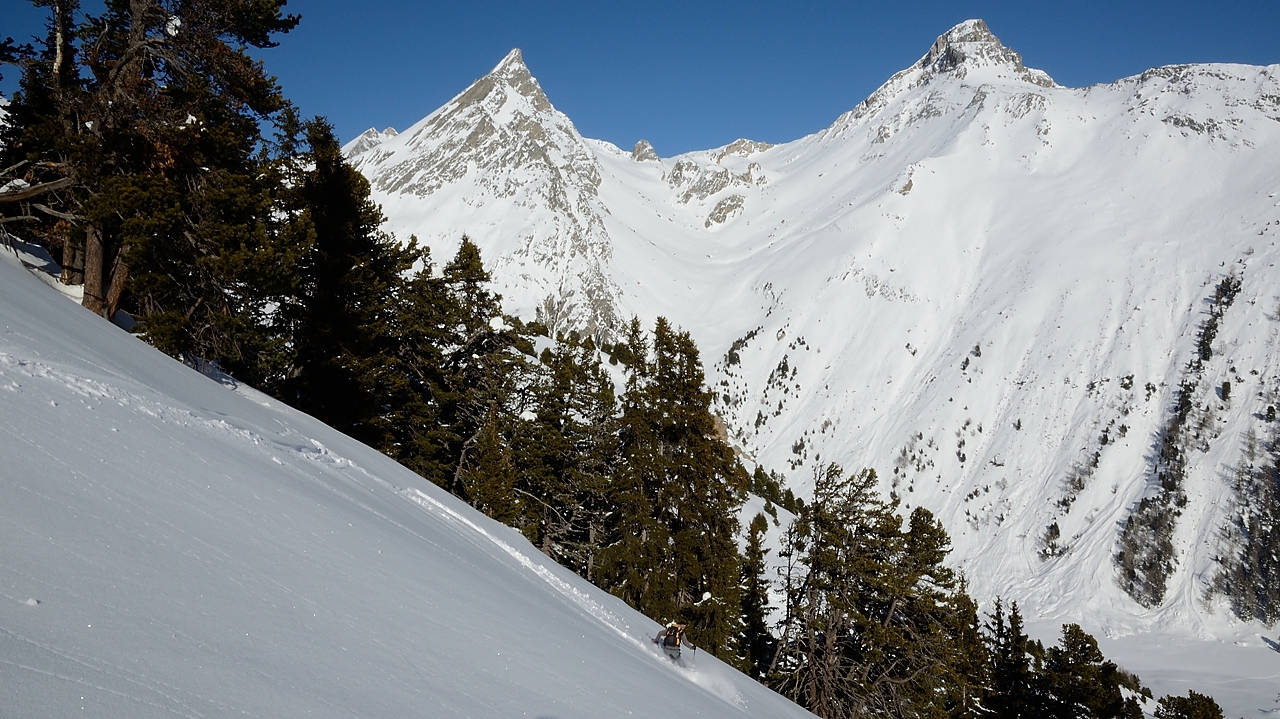 20180113-030-TeteNoire.jpg - Pour la descente sur le refuge on évite la forêt mais prend plutôt une des clairieres à l'ombre ... la neige est exquise 
