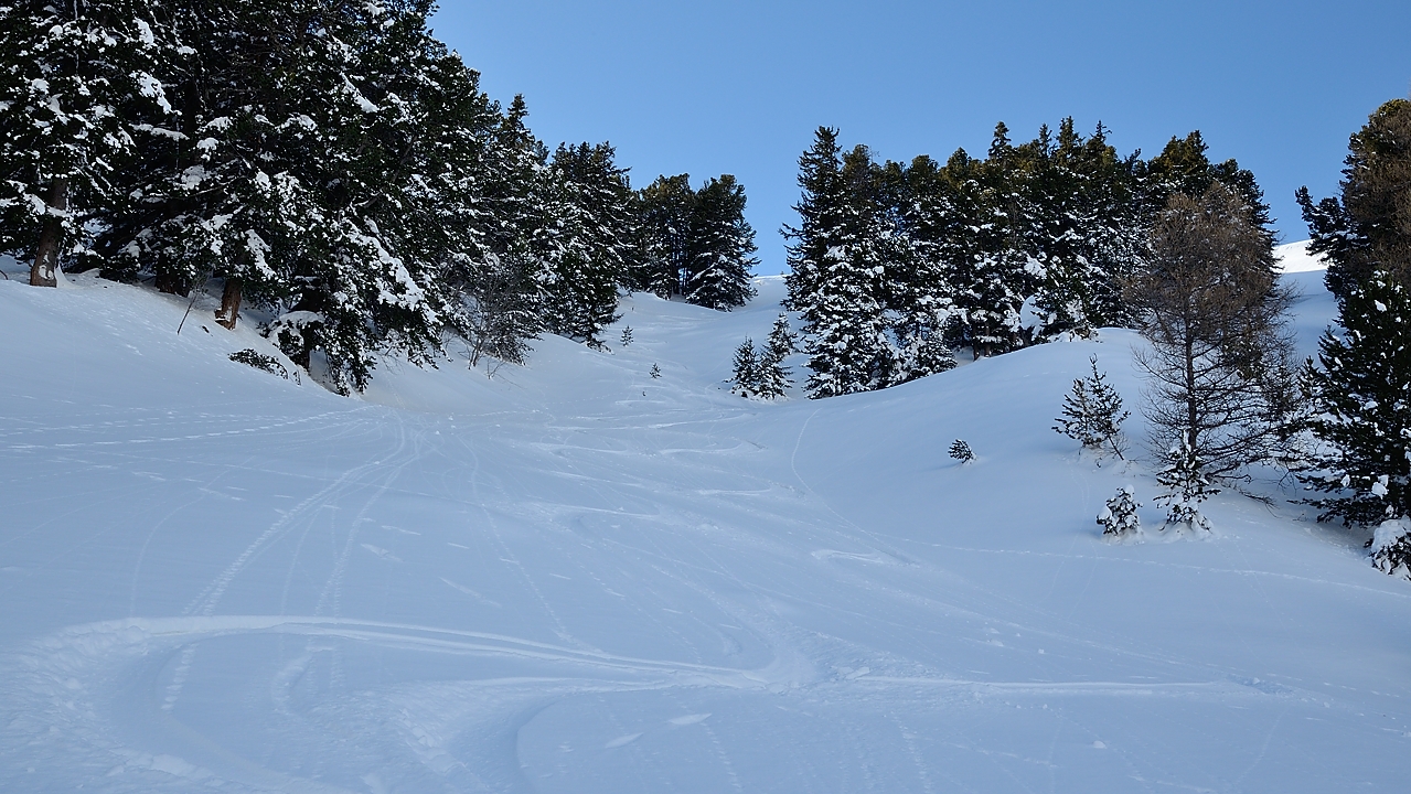 20180113-032-TeteNoire.jpg - on a tout gribouillé ... avant c'etait tout blanc, tout propre, juste quelques discretes traces de chamois