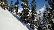 20180113-006-TeteNoire