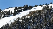 20180113-040-TeteNoire