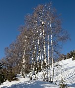 20180113-043-TeteNoire
