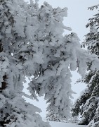 20180120-007-GrandRocher