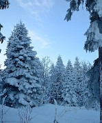 20180224-002-Taillefer