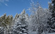 20180224-026-Taillefer