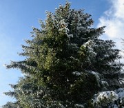 20180224-027-Taillefer