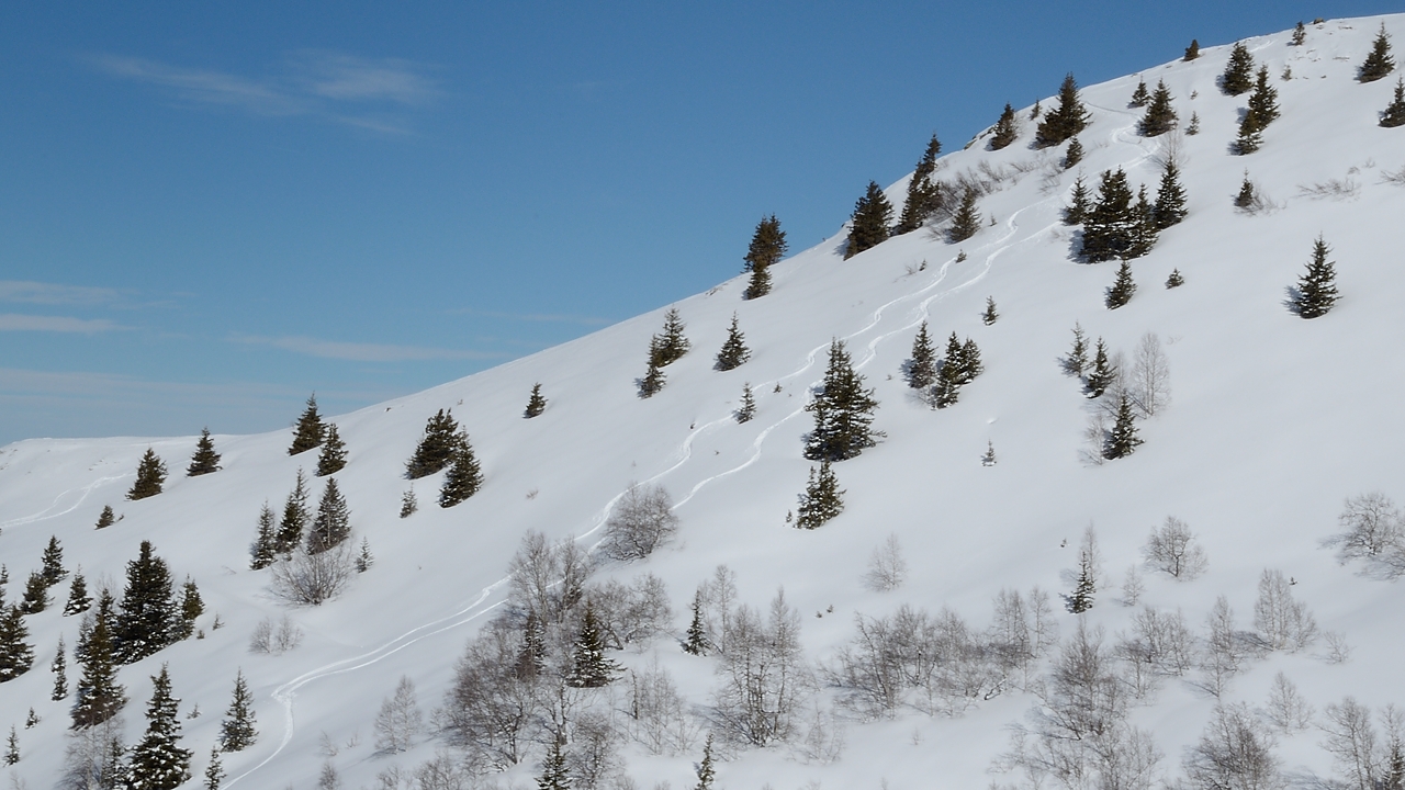 20180304-026-Pierre-du-Pin.jpg - Nos belles traces du matin vues d'en face