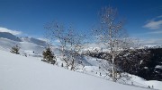 20180304-028-Pierre-du-Pin