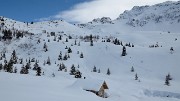 20180304-029-Pierre-du-Pin