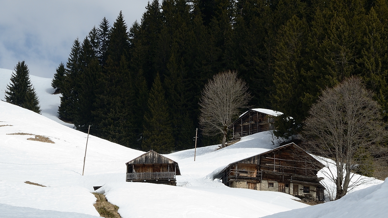 20180407-028-LegetteMirantin.jpg - En contre-bas du Plan Villard