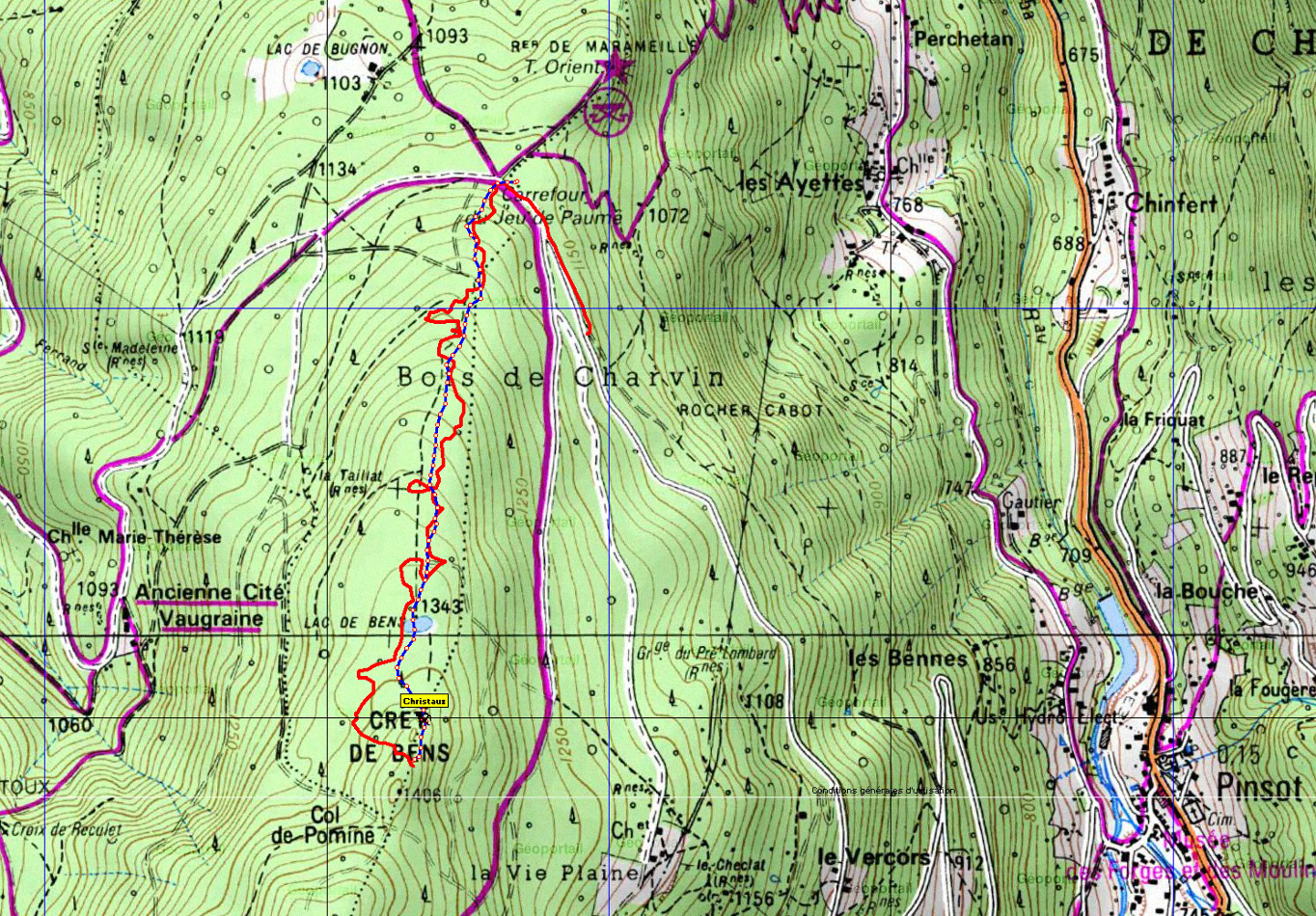 20180916-000-Pinsot-champi-carte-traces.jpg - Trace : montée en rouge, descente en bleu ... on a bien zigzagué mais pas fait bcp de chemin