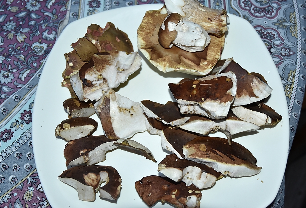 20180916-006-Pinsot-champi-fait.jpg - 2 cèpes et des bolets baies (2 Steinpilze und Maronen)