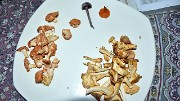20180916-007-Pinsot-champi-fait