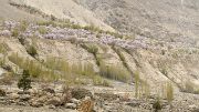 2016-04-17-0101-SkarduAskole