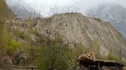 2016-04-17-0102-SkarduAskole
