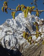 2016-05-07-1243-Trek-PayuJula