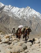 2016-05-07-1263-Trek-PayuJula