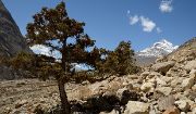 2016-05-07-1279-Trek-PayuJula