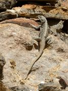 2016-05-07-1283-Trek-PayuJula
