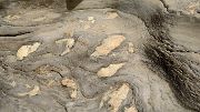 2016-05-07-1294-Trek-PayuJula