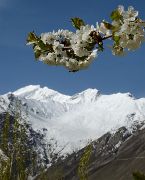 2016-05-09-1365-AskoleSkardu