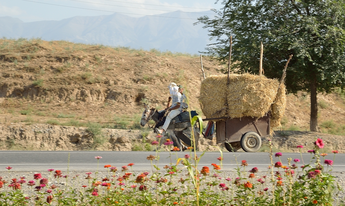Tadjikistan-J12-2012-08-02-039-IstarafShakristo.jpg