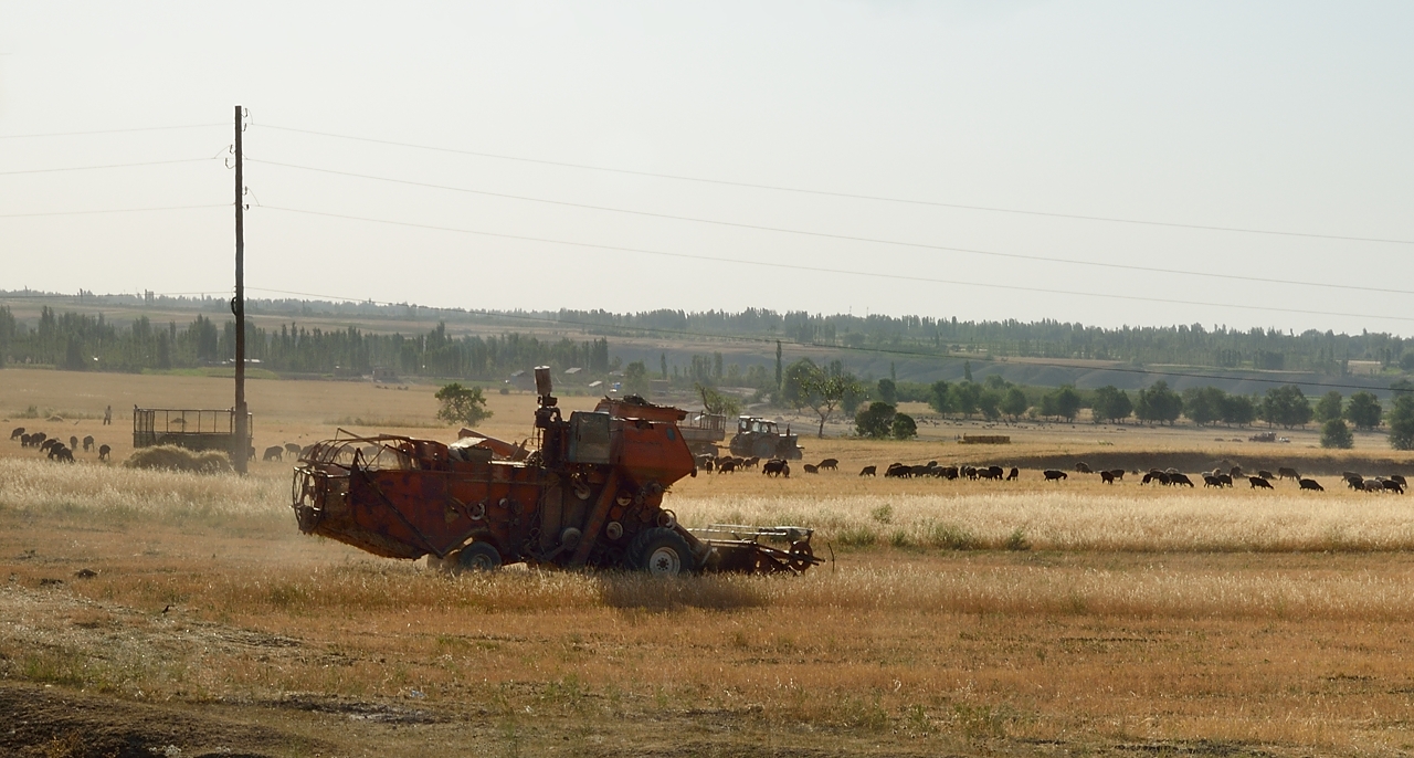 Tadjikistan-J12-2012-08-02-043-IstarafShakristo.jpg