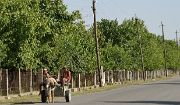 Tadjikistan-J07-2012-07-28-005-GulistonBekobod