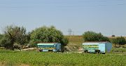 Tadjikistan-J08-2012-07-29-001-BekobodBuston