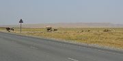 Tadjikistan-J11-2012-08-01-007-NovIstarafshan