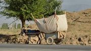 Tadjikistan-J12-2012-08-02-040-IstarafShakristo