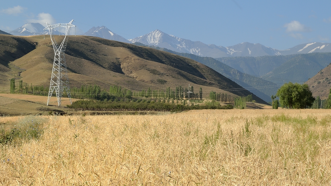 Tadjikistan-J13-2012-08-03-004-ShakristoPiedCol.jpg - View from the camp on the mountains, finally coming close