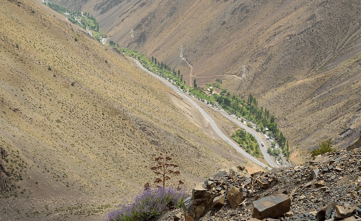 Tadjikistan-J14-2012-08-04-020-ShakriZarafshan.jpg - The green valley ground is still a bit further down, and from there a few more km to Kishkat --- the  big plant is one of the local giant apiaceae (see comments of the pictures of the descent from the Anzob pass)