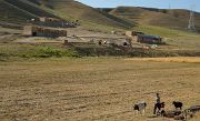 Tadjikistan-J13-2012-08-03-001-ShakristoPiedCol