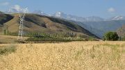 Tadjikistan-J13-2012-08-03-004-ShakristoPiedCol