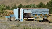 Tadjikistan-J13-2012-08-03-013-ShakristoPiedCol