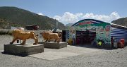 Tadjikistan-J13-2012-08-03-033-ShakristoPiedCol