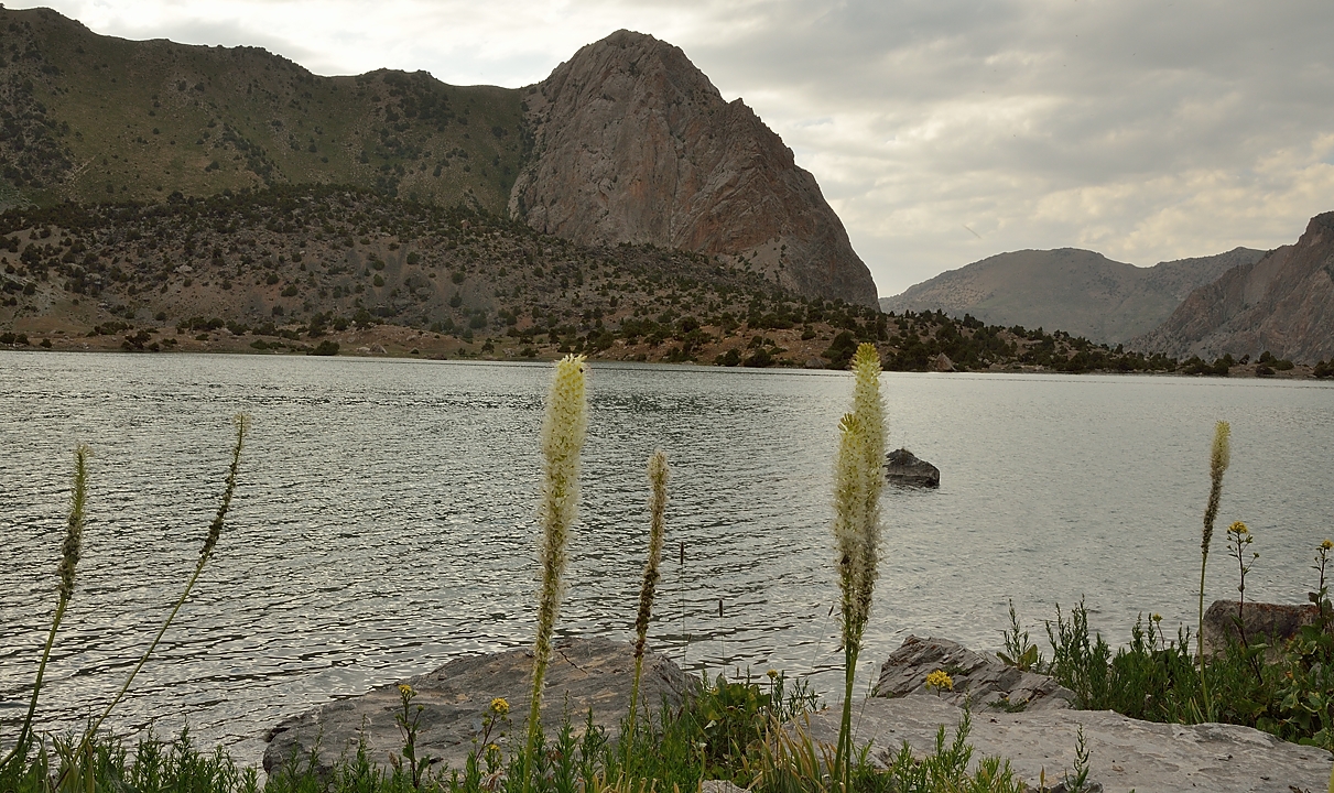 Tadjikistan-J17-2012-08-07-041-ArtouchKalikalon.jpg - View from our camp on the Kulikalon Lake ...